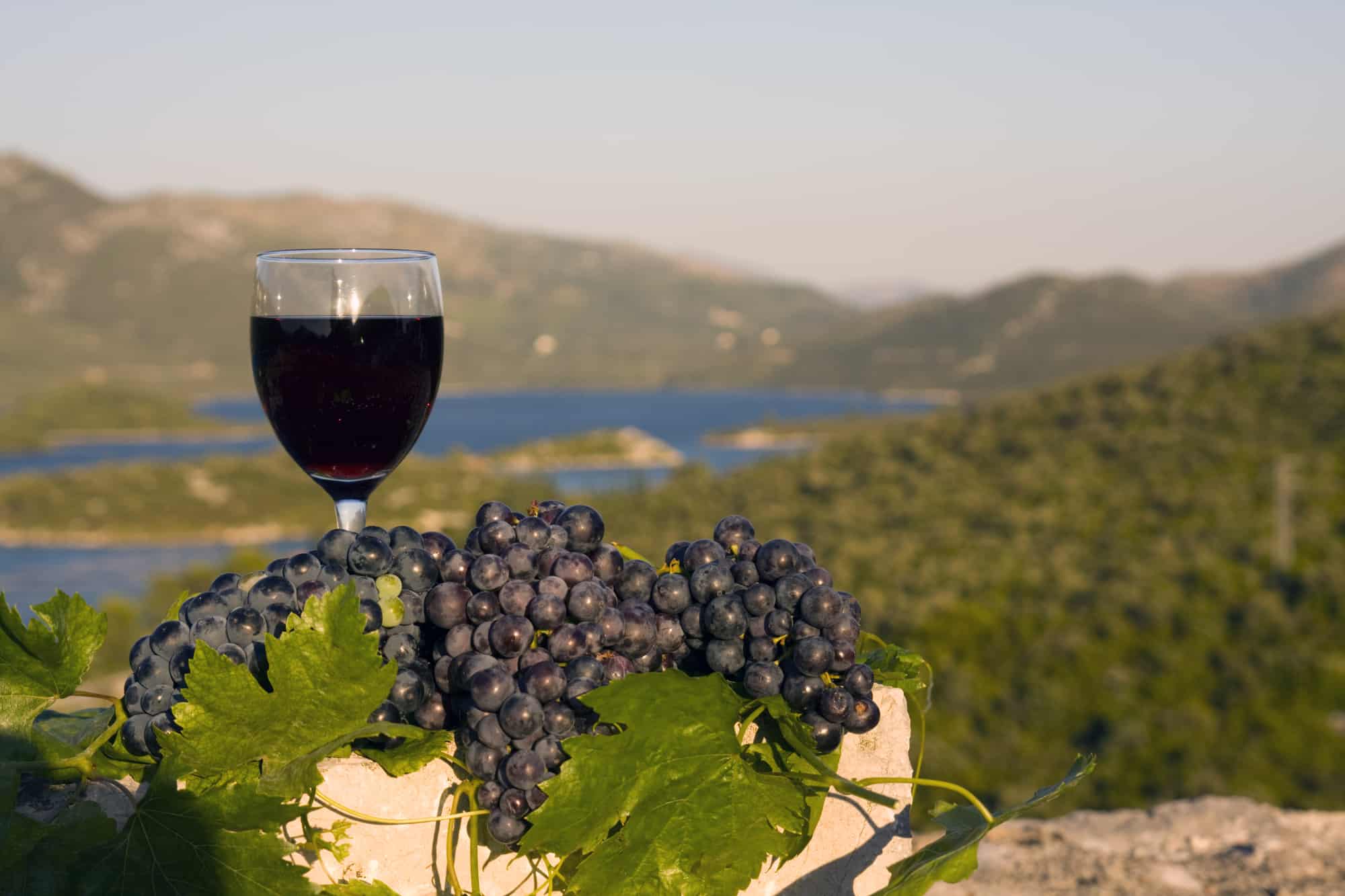 Croatian Wine